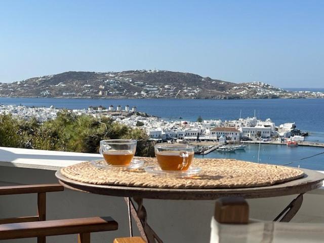 Anemones Sea View Apartment Mykonos Town
